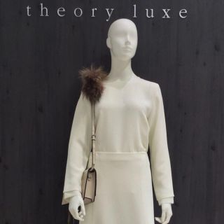 セオリーリュクス(Theory luxe)のtheory luxe  ブラウス スモールサイズ(シャツ/ブラウス(長袖/七分))