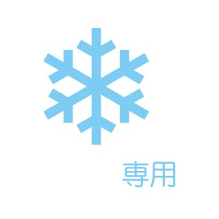 専用(その他)