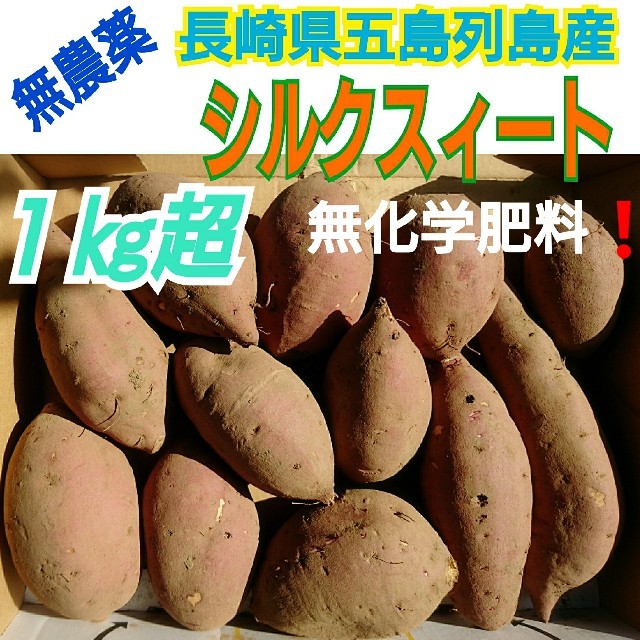 無農薬栽培❗《シルクスィート１㎏》コンパクトboxいっぱいに。長崎県五島列島より 食品/飲料/酒の食品(野菜)の商品写真