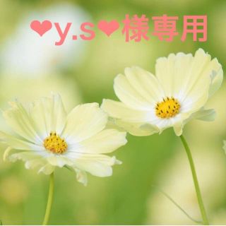 ❤︎y.s❤︎様専用(カラージェル)