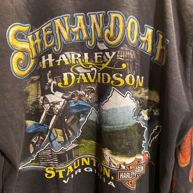 Harley Davidson - ハーレーダビッドソン ファイアーパターン 炎柄 袖