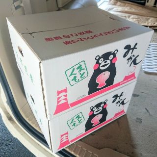 送料無料★熊本産みかん“豊福”個人選果秀品Lサイズ10kg箱×2箱の20kg(フルーツ)