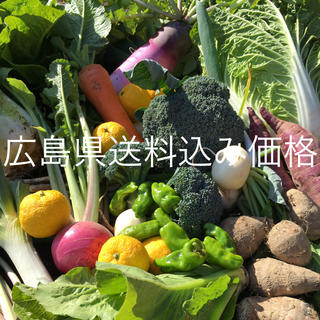 野菜BOX  Mサイズ  広島県送料込み価格(野菜)