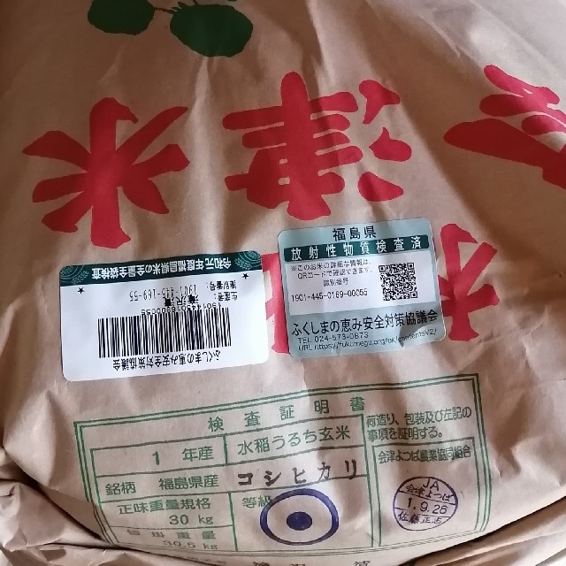 頑張ろ福島令和元年度産新米会津コシヒカリ１０キロ　米/穀物