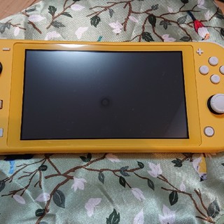 ニンテンドースイッチ(Nintendo Switch)のNintendo switch Lite (Yellow)(家庭用ゲームソフト)
