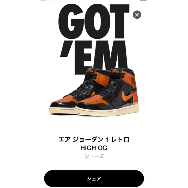 激レア 国内正規 asap rocky 着 AIR JORDAN 1 シャタバ