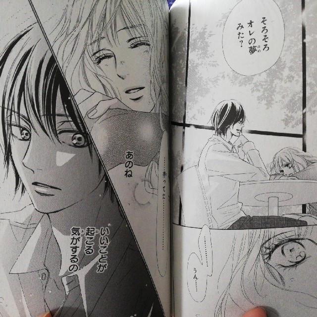 君に届け 1巻〜27巻、30巻 番外編 ~運命の人 1巻〜3巻 - 少女漫画 君に届け 1巻〜27巻、30巻 番外編 ~運命の人 1巻〜3巻 - 少女漫画