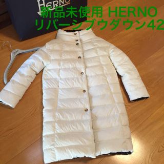 ヘルノ(HERNO)の新品未使用 HERNOヘルノリバーシブルロングダウンコート 42(ダウンコート)