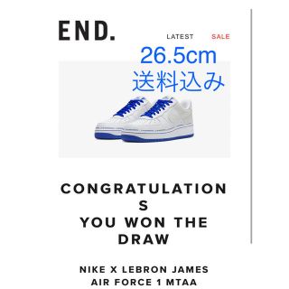 ナイキ(NIKE)の NIKE X LEBRON JAMES AIR FORCE 1 MTAA(スニーカー)