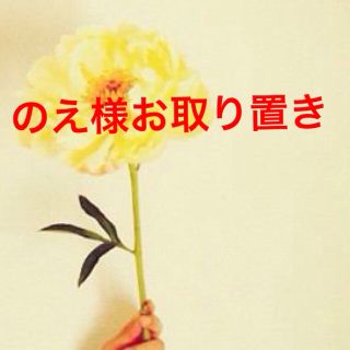 のえ様お取り置き商品11/15まで(その他)