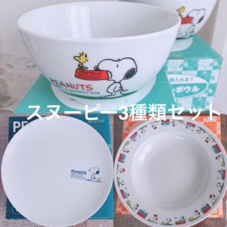 スヌーピー(SNOOPY)のスヌーピー食器 3種類 7皿＋2サラダボール セット 未使用品 非売品(食器)