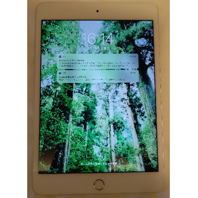 ipad mini4 128GB wifi+Cellular au購入