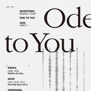 セブンティーン(SEVENTEEN)のSEVENTEEN Ode to You　横浜アリーナ　30日　センター1連(K-POP/アジア)