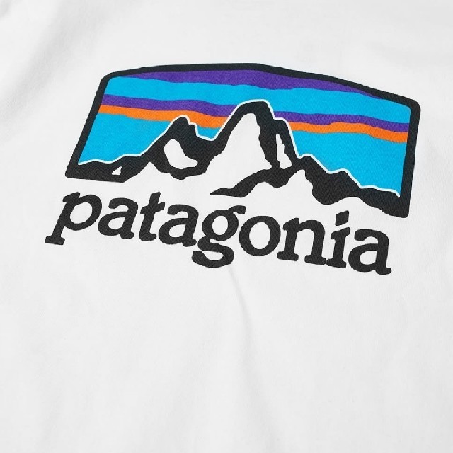 patagonia(パタゴニア)のMサイズ FITZ ROY HORIZONS RESPONSIBILI-TEE メンズのトップス(Tシャツ/カットソー(半袖/袖なし))の商品写真