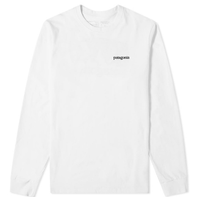 patagonia(パタゴニア)のMサイズ FITZ ROY HORIZONS RESPONSIBILI-TEE メンズのトップス(Tシャツ/カットソー(半袖/袖なし))の商品写真
