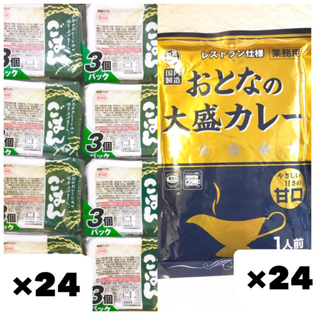 250g×24袋　無菌パックごはん　200g×24個　おとなの大盛カレー甘口　米/穀物