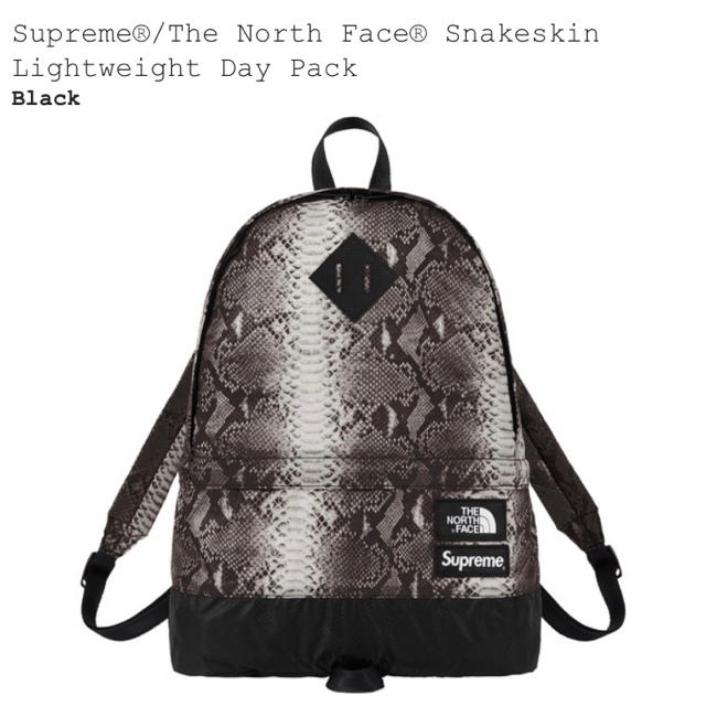 Supreme North Face バックパック 新品未使用