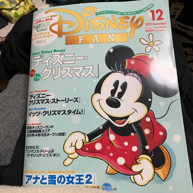 Disney(ディズニー)のDisney FAN (ディズニーファン) 2019年 12月号  エンタメ/ホビーの雑誌(趣味/スポーツ)の商品写真