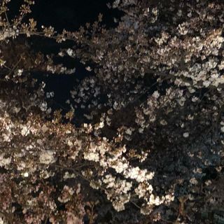  r* 様専用(その他)