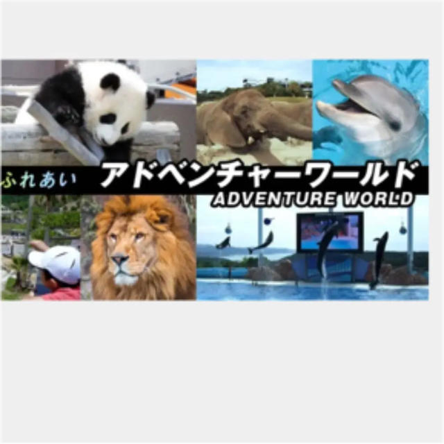 アドベンチャーワールド 優待券 付 ホテル宿泊券 半額 チケットの優待券/割引券(その他)の商品写真