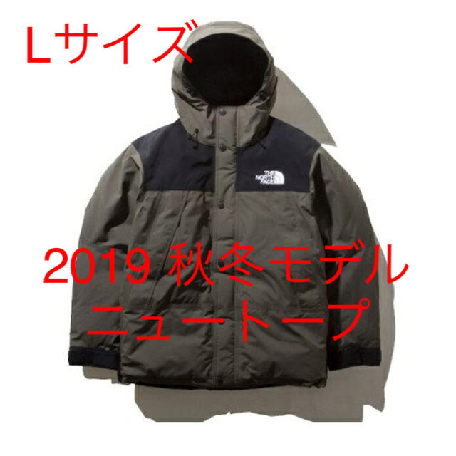 2019 The North Face Mountain Down Jacket