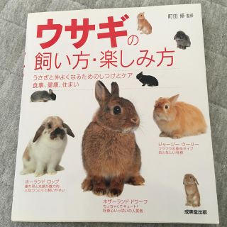 ウサギの飼い方・楽しみ方(住まい/暮らし/子育て)