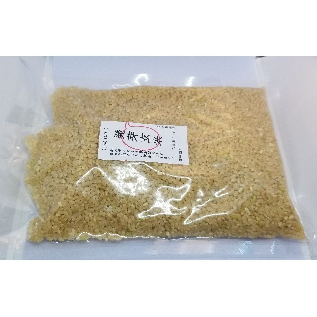 熊本県産　発芽玄米　新米100%　3kg　自家製産　米/穀物