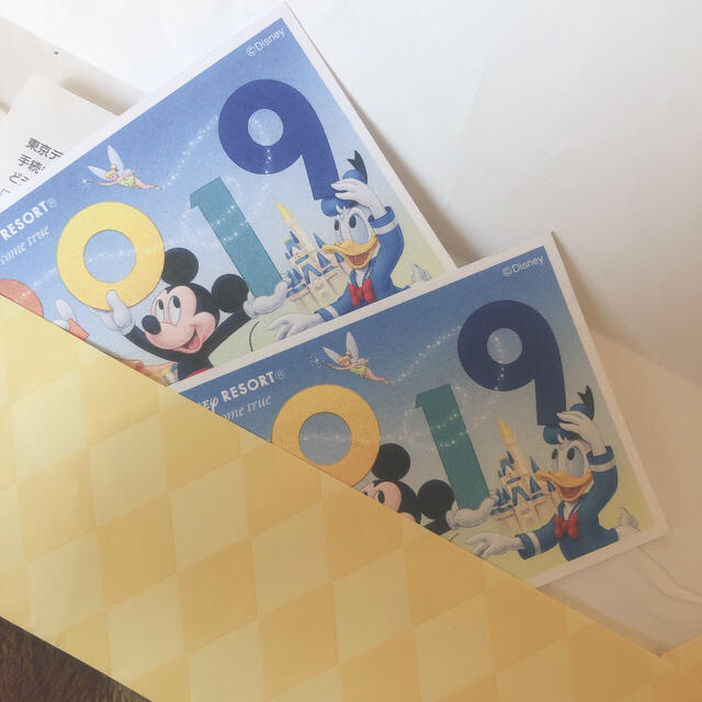 Disneyチケット 2枚チケット