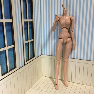 ボークス(VOLKS)のボークス 1/6 女性素体 (ジャンク)(その他)