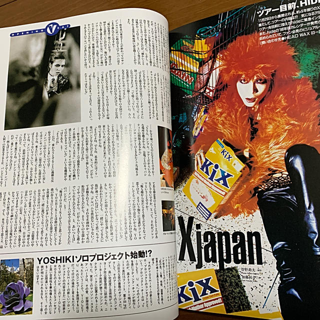 X JAPAN  コンプリートファイル　シリアルナンバー入り