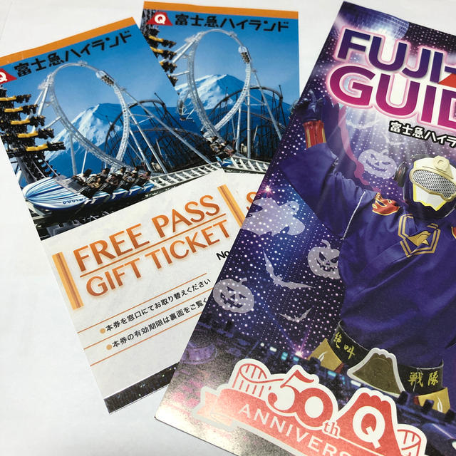 遊園地/テーマパーク 全国総量無料で 富士急ハイランド フリーパス 2枚