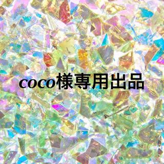 coco様専用出品(その他)