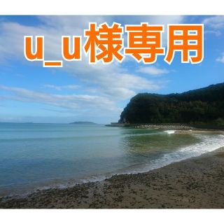 「u_u様専用❗」無農薬❗《里芋&シルクスィート》五島列島より(野菜)