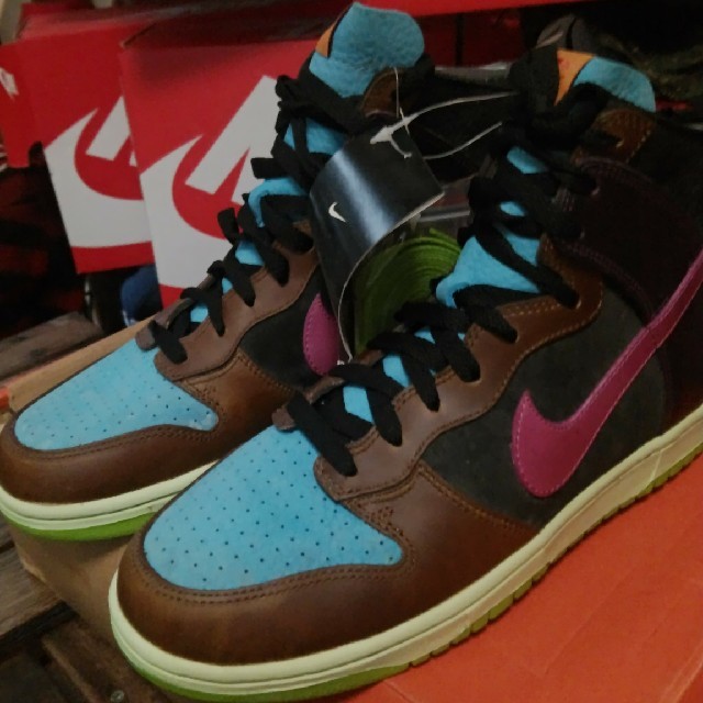 nike dunk nl