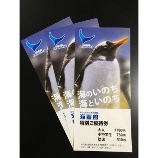 市立しものせき水族館 海響館 特別ご優待券 3枚(3名分)(水族館)