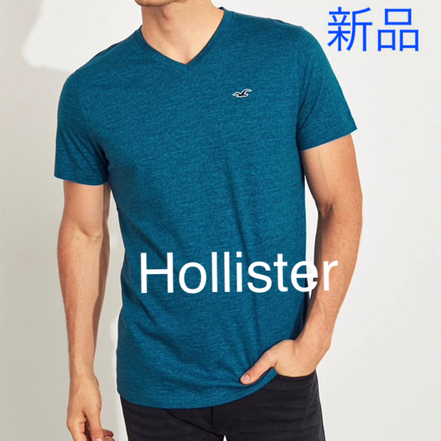 Hollister(ホリスター)の新品 ホリスター Tシャツ メンズのトップス(Tシャツ/カットソー(半袖/袖なし))の商品写真