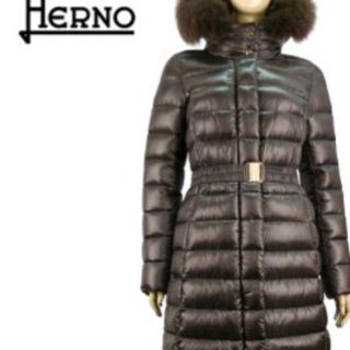 ヘルノ(HERNO)のHERNO最高級ロングダウン　美品 44(ダウンコート)