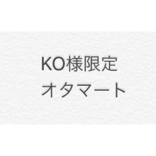 KO様限定です(その他)