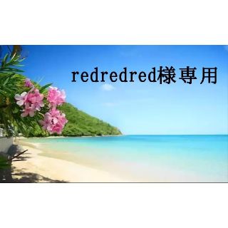 【redredred様専用】(その他)