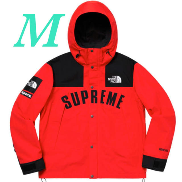 国内正規品Supreme tnf Arc Logo Mountain Parka