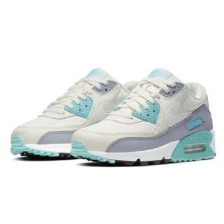 ナイキ(NIKE)のAIRMAX90 ナイキ エアマックス 25.5cm(スニーカー)