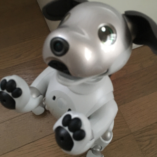 ソニー(SONY)のSONY aibo ERS-1000(その他)