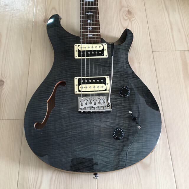 PRS SE Custom22 Semi-Hollow