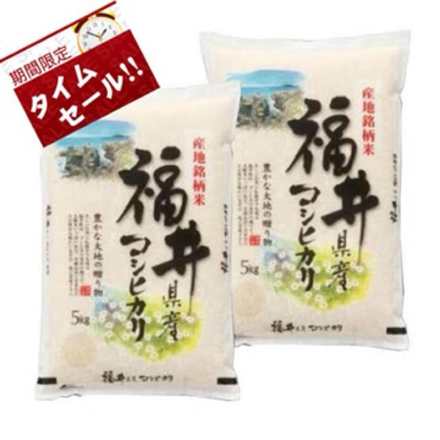 新米 白米 コシヒカリ 10kg 福井県産 お米 令和元年産  食品/飲料/酒の食品(米/穀物)の商品写真