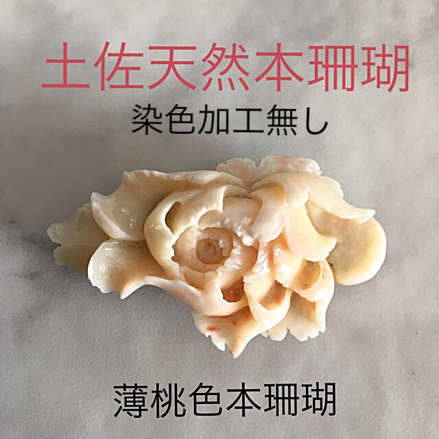 土佐天然本珊瑚・帯留め*精密彫刻* *希少・うぶだし ☆ - www