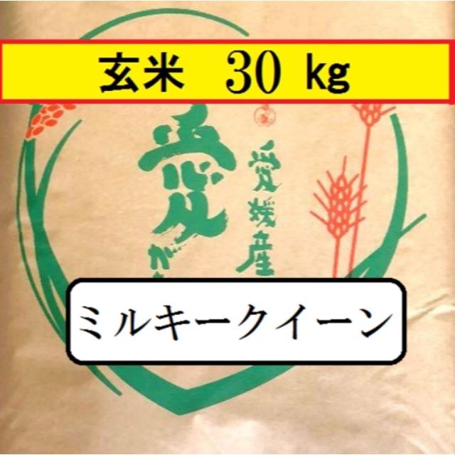 食品お米　令和元年　愛媛県産ミルキークイーン　玄米　30㎏