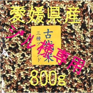 ジル様専用  古代米3種ブレンド　愛媛県産　800ｇ(米/穀物)