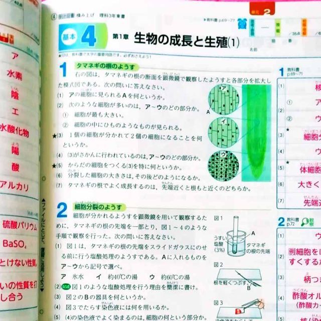 ひろば 東京 書籍 プリント