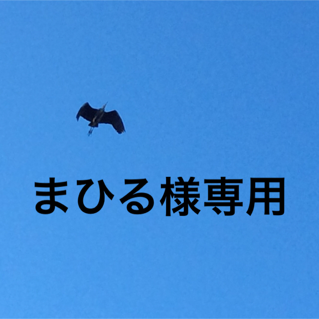 歩きやすい本革カジュアルシューズ　23、5 ブラウン　E