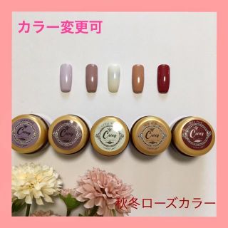 【カラー変更可】秋冬ローズカラージェル ジェルネイル(カラージェル)